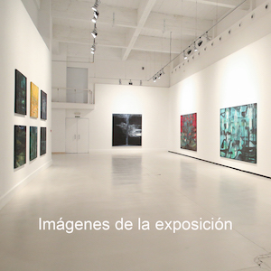 Fotos de la exposición