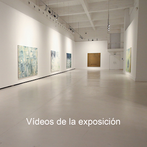 Videos de la exposición