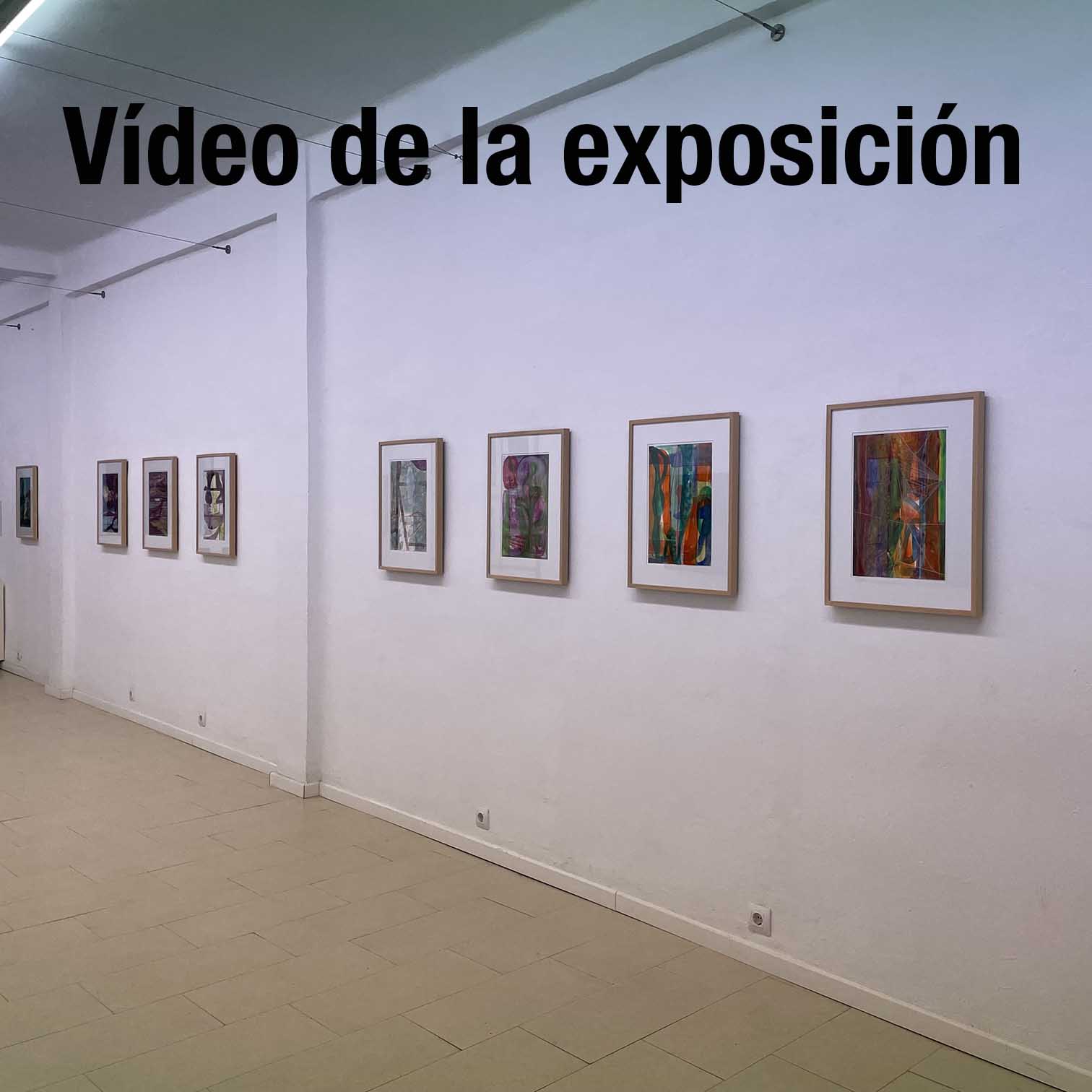 Vídeo de la exposición